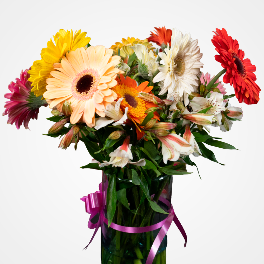 Gerberas con astromalias